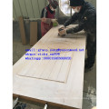 Natural Veneer Door Skin